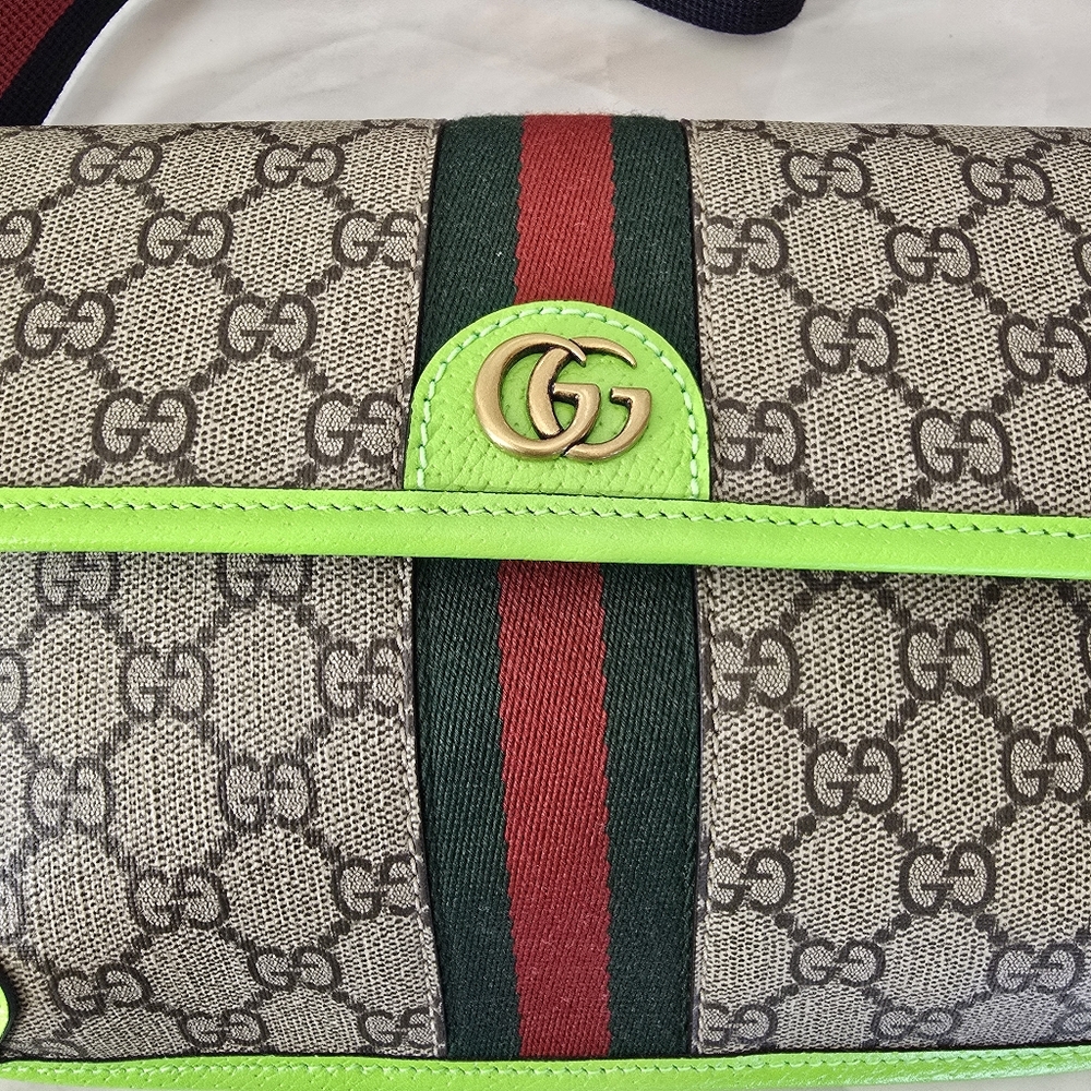 Gucci Crossbody/Belt Bag - Picture 4 of 9